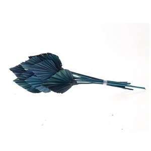 DRY PALM SPEAR BLUE