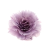 Feather Rose Clip H8D11