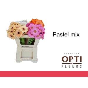 GE MI PASTEL MIX-Water