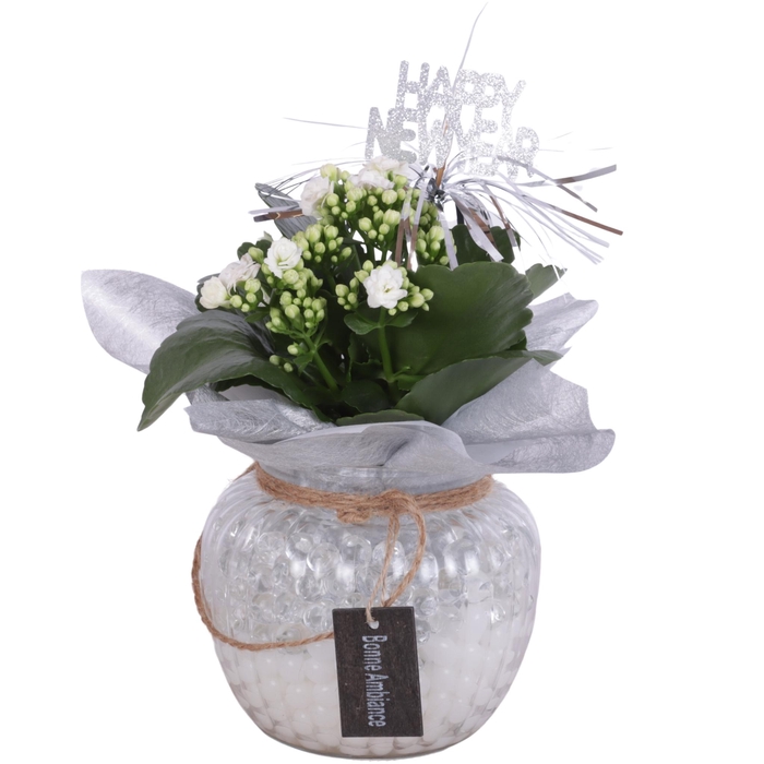 <h4>New Year Arr. Indoor Glass Round Relief Ø15cm 1PP</h4>