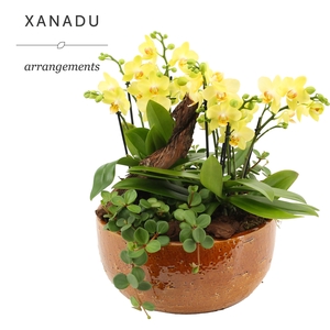 Xanadu Lissabon