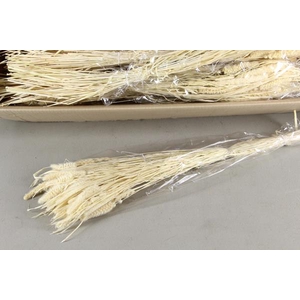 Df Setaria Bleached Bs 100g