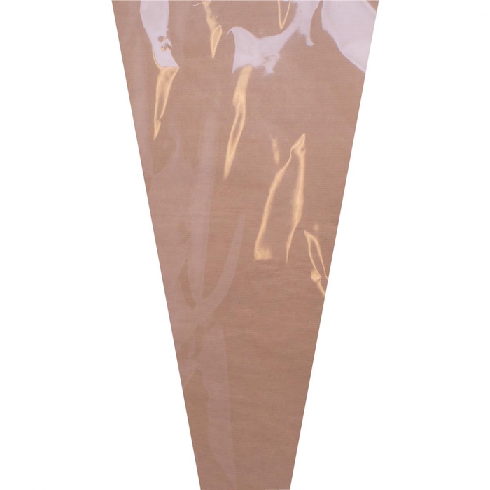 <h4>Sleeves Pure 60*30*10cm x50 OPP35/Kraft</h4>