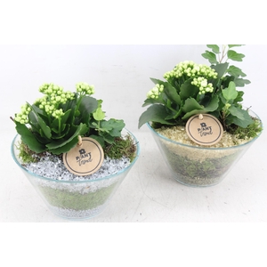 arr2 PL - Glas schaaltje - goud/zilver