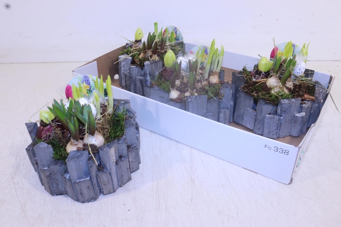 <h4>ARR BOL KNOLGEWAS</h4>