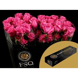 R Gr Cotton Candy Box