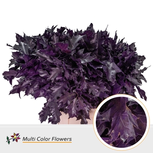 Eik Grof Aubergine