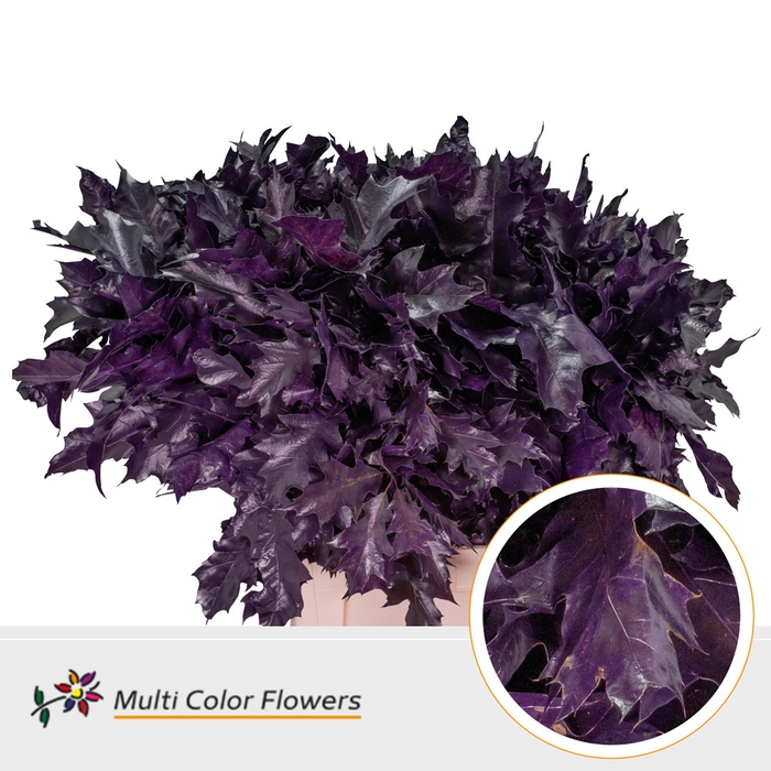 <h4>Eik Grof Aubergine</h4>