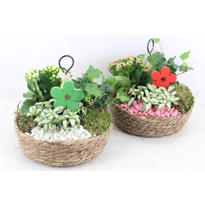 arr2 PL - Jute etagere 338/3 - roze/wit