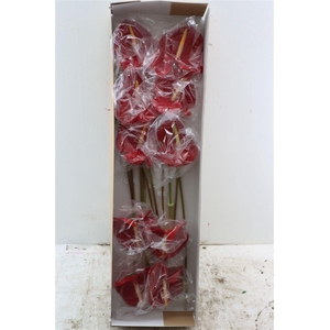 Anth A Rambla Butterfly