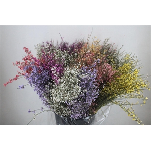 Ginster 200gr Mix Pbs