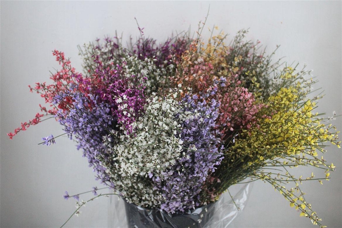 <h4>Ginster 200gr Mix Pbs</h4>