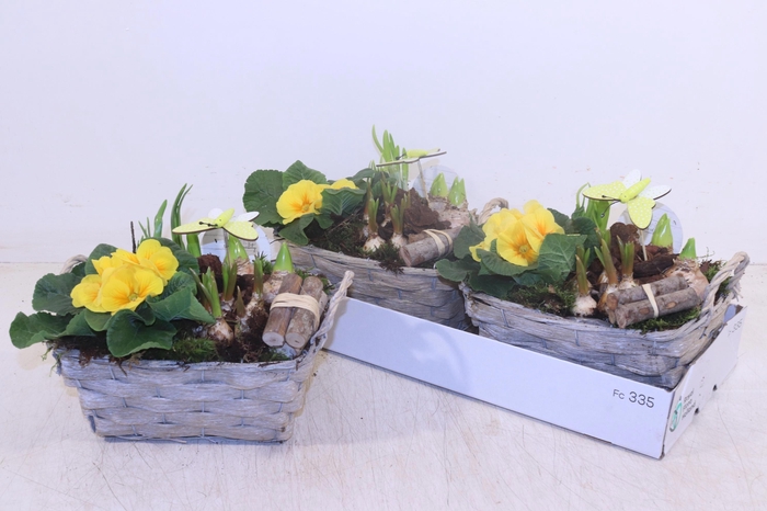 <h4>ARR TUINPLANTEN</h4>