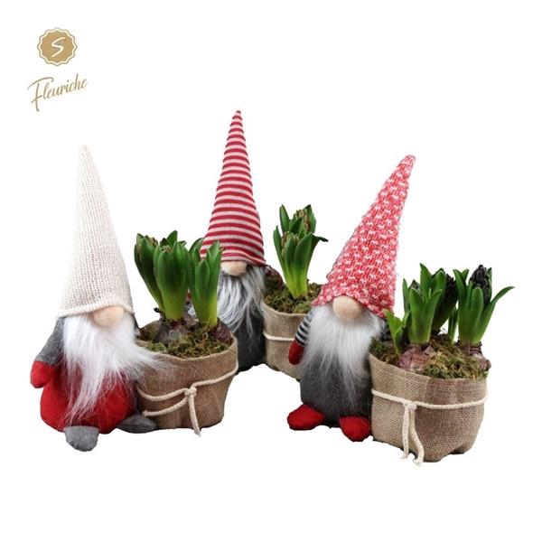 <h4>(3316) Hyacint Fluffy Santa [L] 3PP Mos</h4>