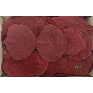 COBRA LEAVES RED 100pcs
