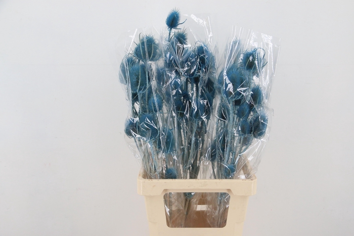 <h4>DROOGBL BEWERKT H%</h4>