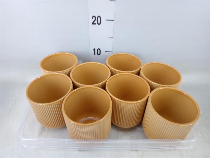 <h4>Pot   ...Keramische H%</h4>