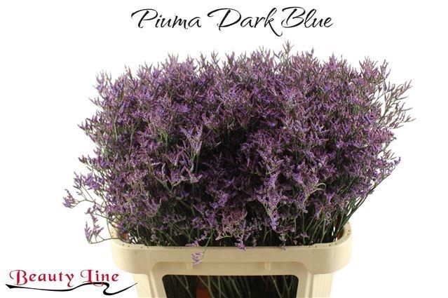 <h4>LIM PIUMA DARK BLUE</h4>