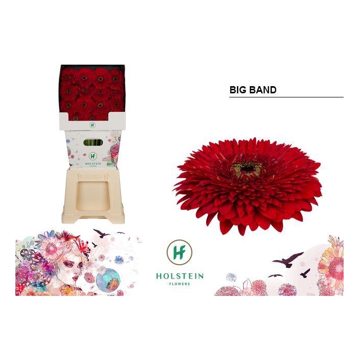 <h4>Ge Gb Gerp Big Band</h4>