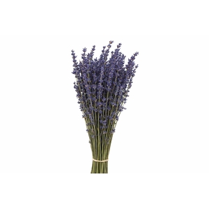 Dried Lavendel Super Blue 100gram Bunch