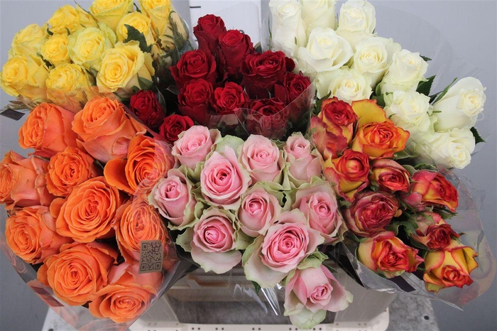 <h4>R Gr Gemengd In Fust</h4>