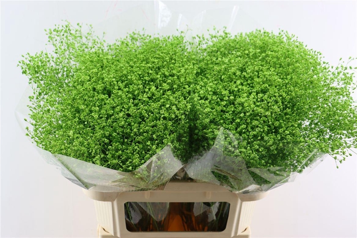 <h4>Gyps Grof Apple Green (dip)</h4>