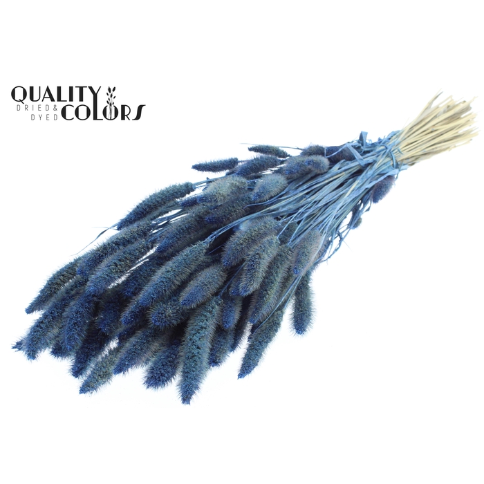 <h4>Setaria per bunch Pearl Blue</h4>