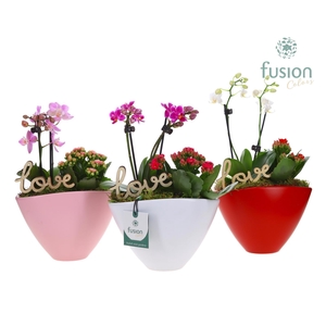 Pot keramiek ovaal Medium met Arrangement