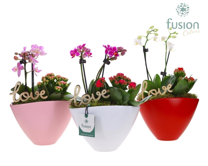 <h4>Pot keramiek ovaal Medium met Arrangement</h4>