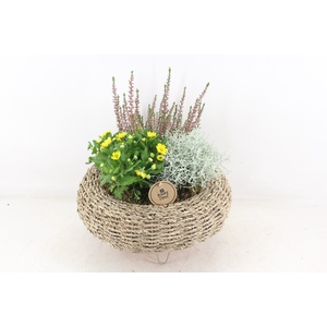 arr4 Outdoor PL - Mand op pootjes