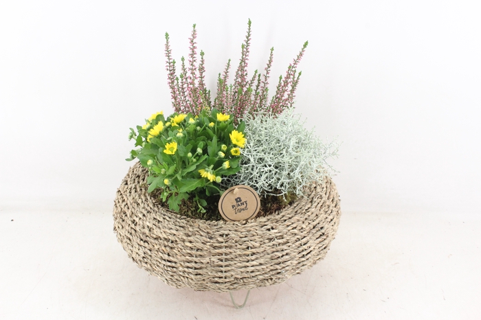 <h4>arr4 Outdoor PL - Mand op pootjes</h4>