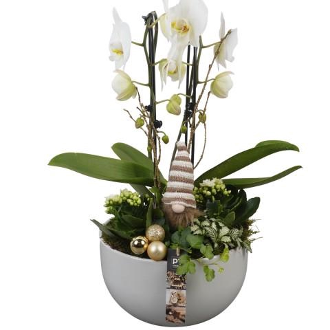 <h4>PTCHG5631 Arrangementen Kerst</h4>
