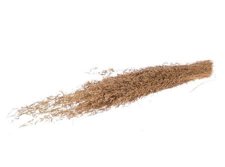 <h4>Dried Munni Grass Matt Gold Bunch Slv</h4>