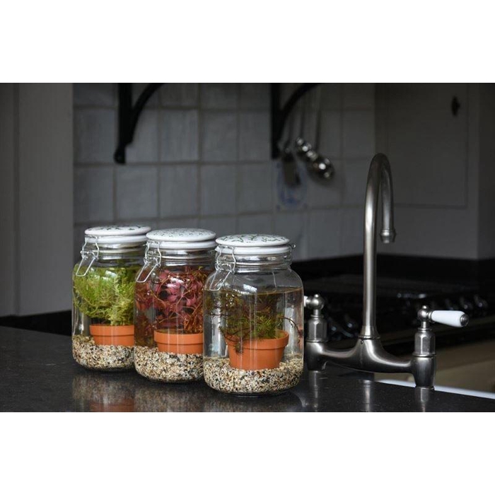 <h4>Weckpot keramieke deksel inc aquapl</h4>