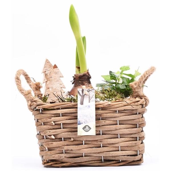 <h4>Wilg rechthoek 20x13.5cm</h4>