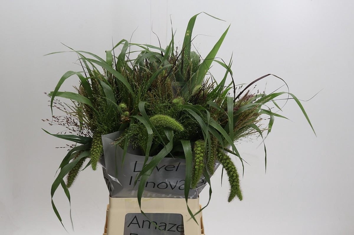 <h4>Grasses mix in bucket</h4>