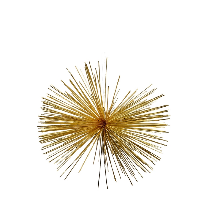 <h4>Kerst Hanger ster 30cm</h4>