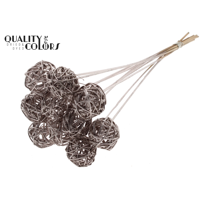 <h4>Bruce Ball 5cm on stem Champagne</h4>