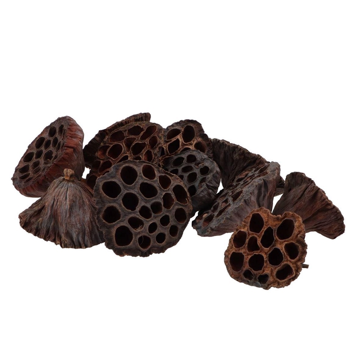 <h4>Nature Lotus Natural Ass P/150</h4>
