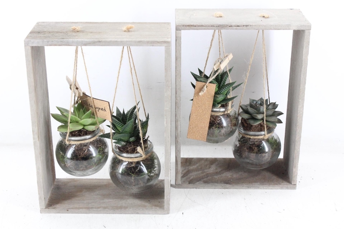 <h4>arr2 MB - Hout frame 2 hangbol</h4>