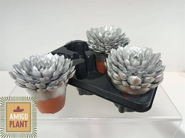 <h4>ECHEV GRANDE CINZA</h4>