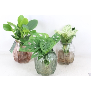 arr3 VDE - Glas ribbel Florence