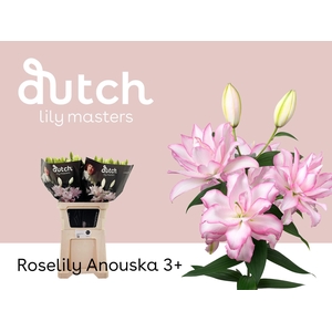 LI OR DU ANOUSKA