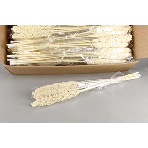 DF Sorgo Bleached Bs 250g