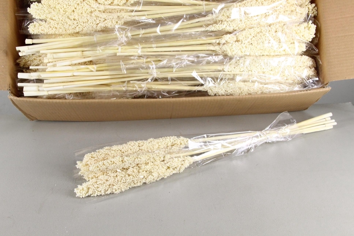 <h4>DF Sorgo Bleached Bs 250g</h4>