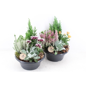 arr4 Outdoor PL - Kunstst. schaal M los