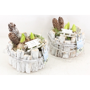 arr4 Hyacint JS - Bmschors potje rond x4