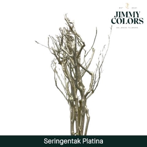 Seringen Tak L65 Platina