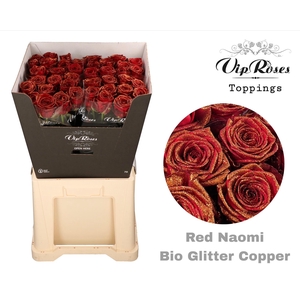 R GR RED NAOMI BIO GLITTER COPPER