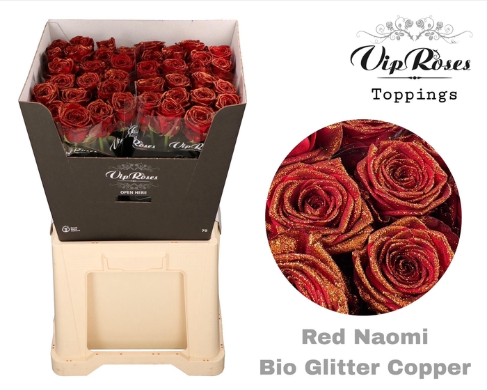 <h4>R Gr Red Naomi Bio Glitter Copper</h4>